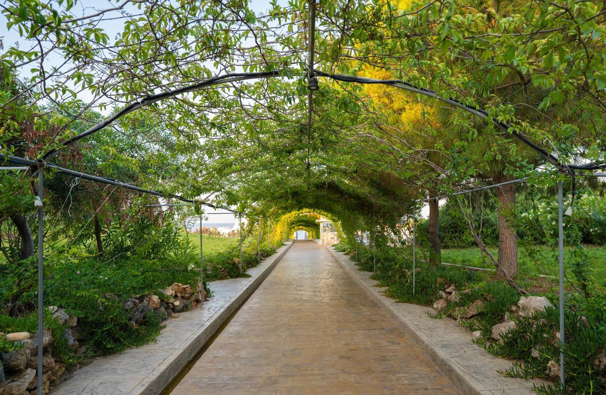 Master Family Club Hotel Manavgat Exterior photo